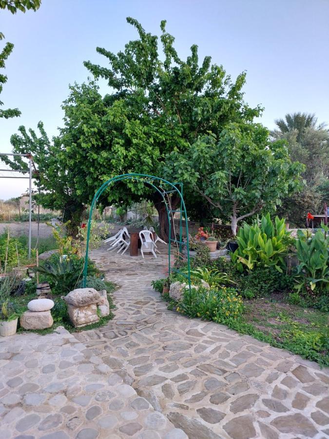 La Medusa Gardens Iskele District  Buitenkant foto